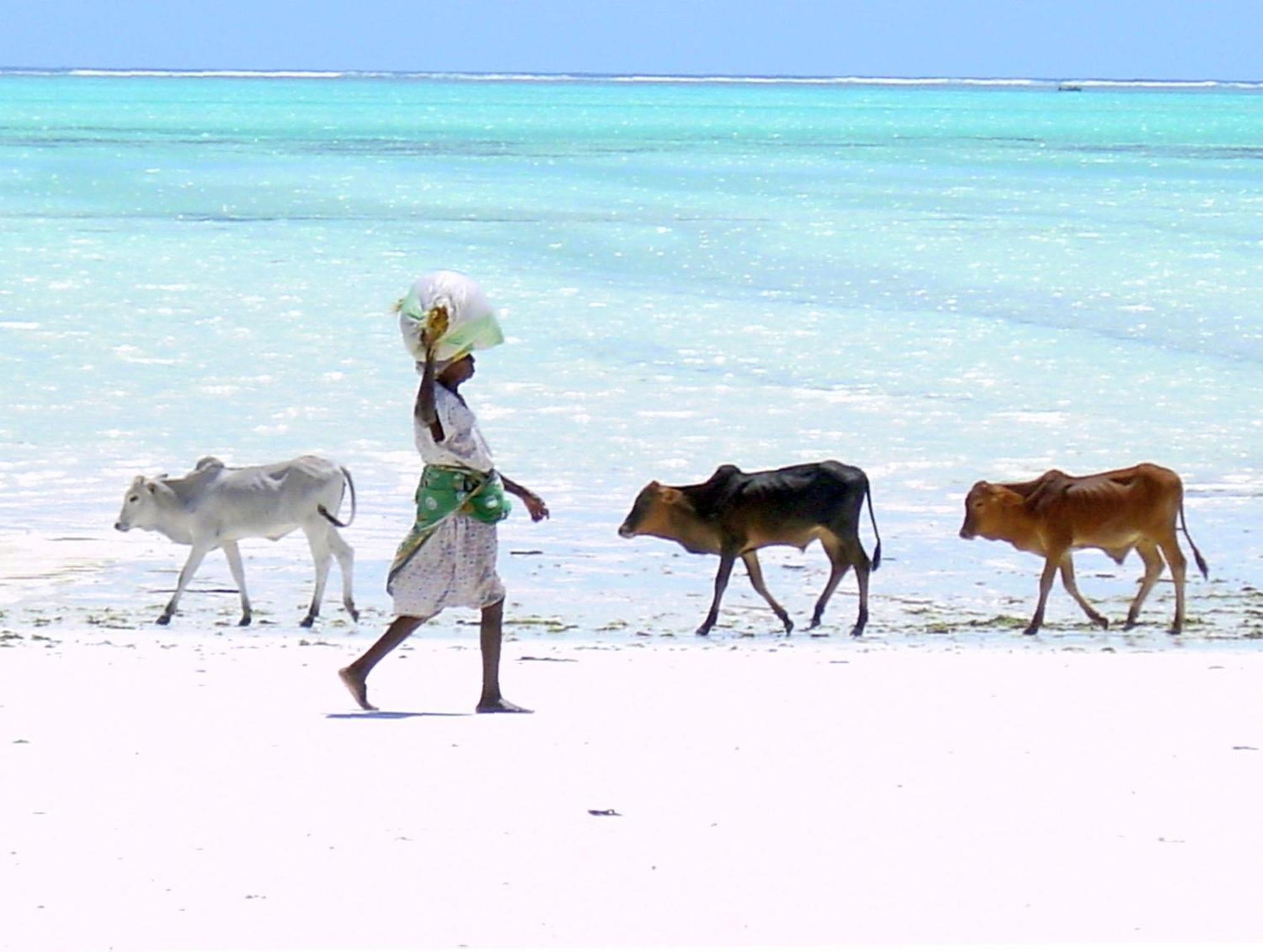 Villa Bahati Zanzibar 江比阿 外观 照片